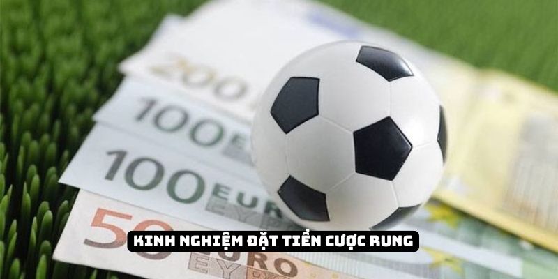 Kinh nghiệm đặt tiền cược rung cho mọi tân binh có cơ hội thắng 98WIN